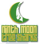 Ninth Moon Tree Sharks Logo